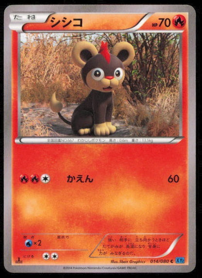 LITLEO 014/080 POKEMON CARD JAPANESE XY2 WILD BLAZE COMMON LP