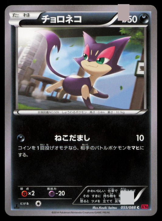 Purrloin 055/088 POKEMON CARD Japanese XY4 Phantom Gate Common NM