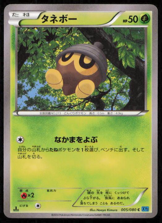SEEDOT 005/080 POKEMON CARD JAPANESE XY2 WILD BLAZE COMMON LP
